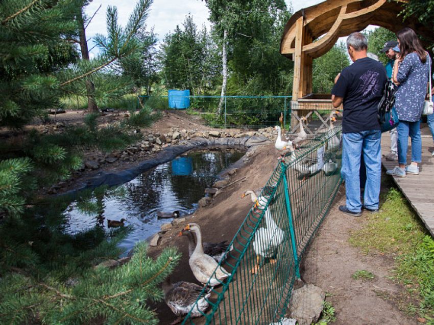Бесплатные экологические экскурсии проводит краевой краеведческий музей